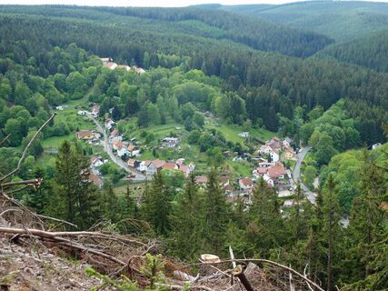 Luisenthal Blick vom Kienberg Richtung Hotel Berghof