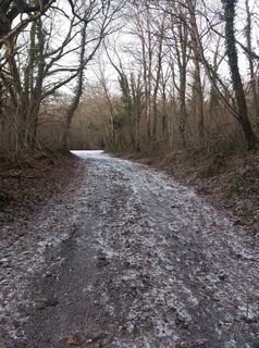 Foto de François Demonne a lo largo del recorrido