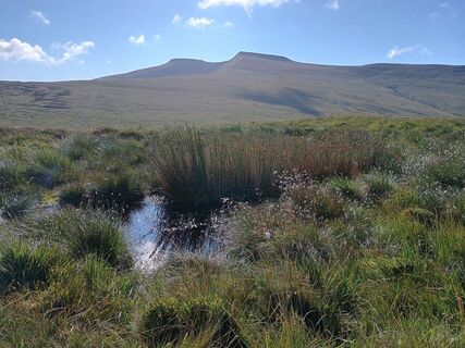 Foto von JaapBergfex entlang der Tour