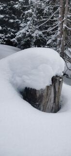 Fotografija s spletne strani Claudia Hinteregger na poti