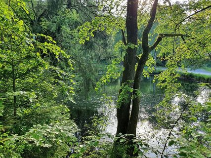 Drachenflugtour