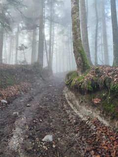 Teils steiler Anstieg auf Weg 855