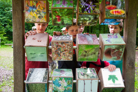 Walderlebnispfad Wieselweg