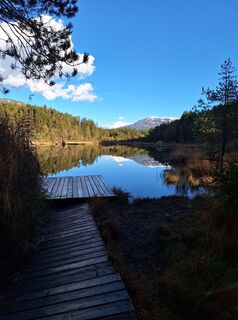 Fotografia z Dagmar Hofer na trase