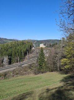 Fotografia z Rob Woll na trase