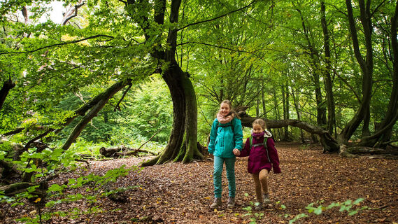 Kinder im Urwald Sababurg