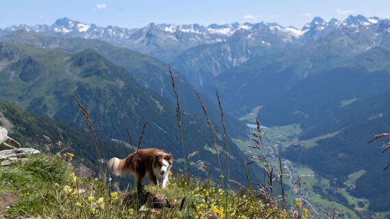 Foto fra Klaus Lehner undervejs på turen