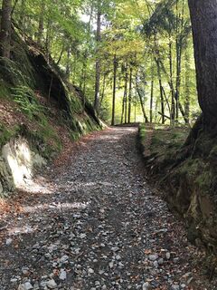 Sonntag, 13. Oktober 2019, 15:23 Uhr