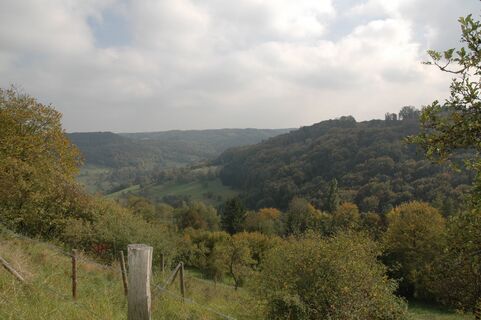 Blick ins Brettachtal bei Maienfels | Wüstenrot | HeilbronnerLand