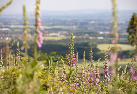 Wiehengebirge