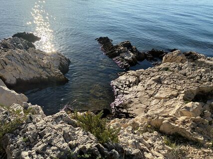 Fotografia z Brigitta Konrad na trase