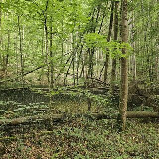 Fotografija s spletne strani Robert Hofer na poti
