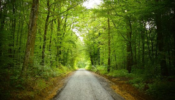 Lindachwald-Runde