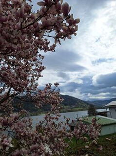 Foto von Dagmar Hofer entlang der Tour