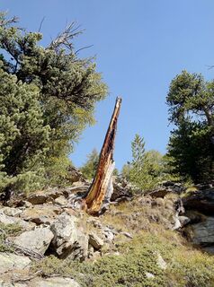 Kuva osoitteesta WolBo matkan varrella