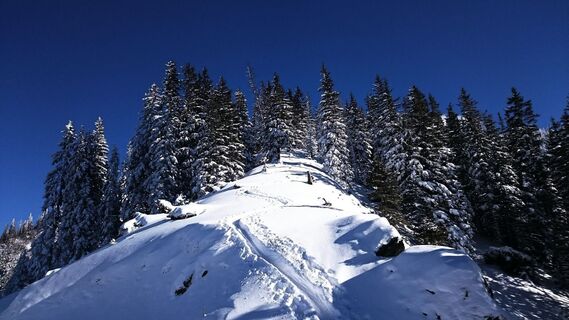 skitour michaelerberghaus_img_12946066