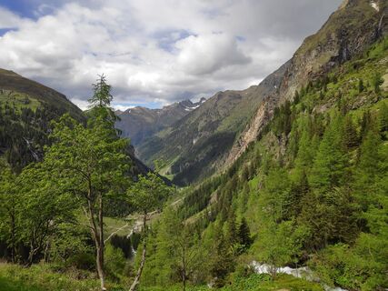 Fotografie z schenkeli na trase