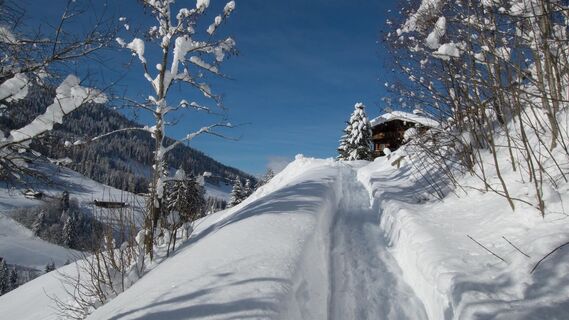 Auf dem mittleren Höhenweg nach Alpbach