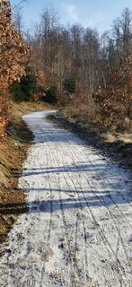 Photo de Marco Schütz le long du parcours