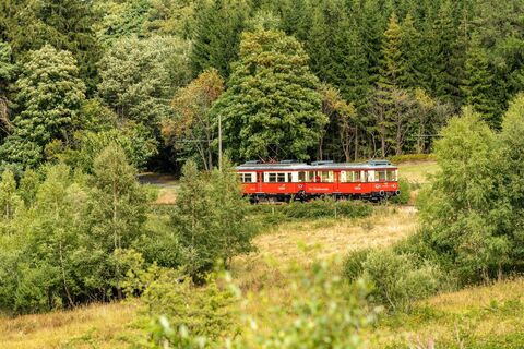 Die kleine Rote im Grünen - Mit dem Olitätenwagen auf der Flachstrecke zwischen Cursdorf und Lichtehain