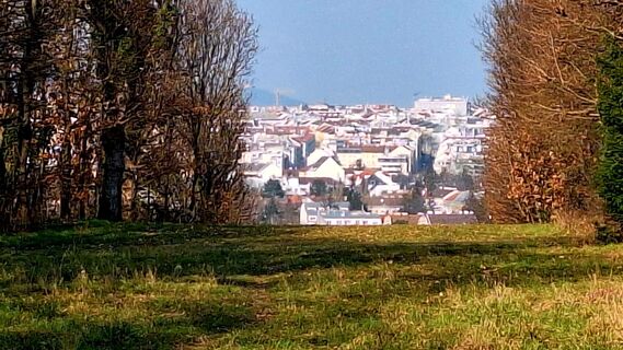 Фото с сайта Regina Fleischmann во время экскурсии