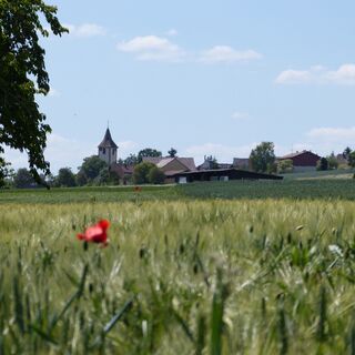 Blick auf Neubulach_2