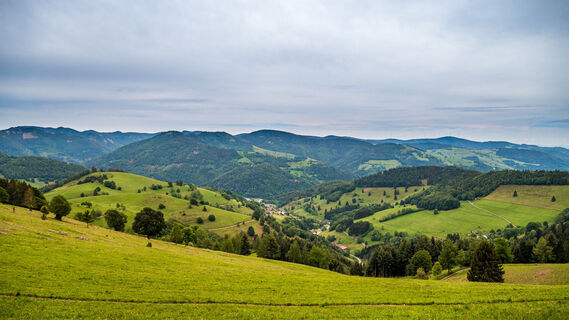 Ausblick von der Kälberweid