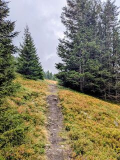 Foto von Sabrina Hackel entlang der Tour