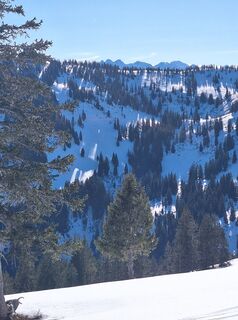 Fotografie de la Herbert zenz de-a lungul turului