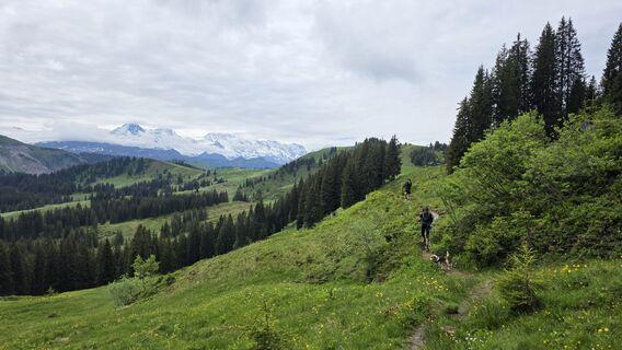 Photo de Matteo Allegri le long du parcours