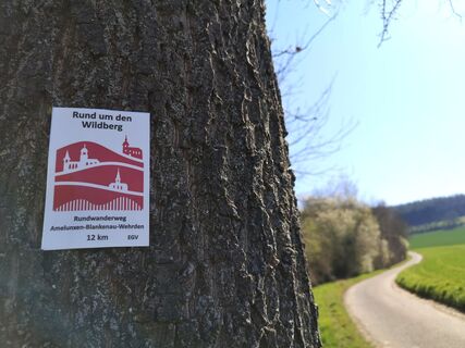 Rund um den Wildberg