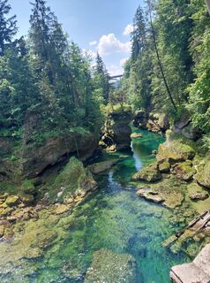 Foto de sibela a lo largo del recorrido