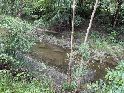 Foto von Amiks entlang der Tour