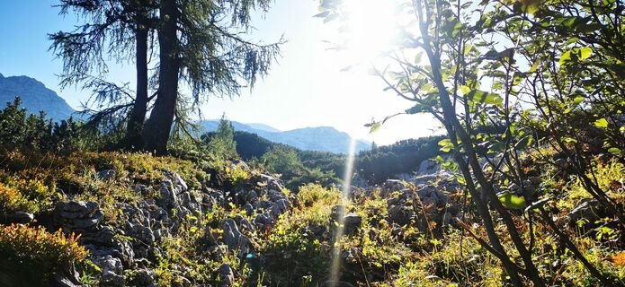 Foto von Klaus Lehner entlang der Tour