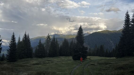 Foto von sagal entlang der Tour