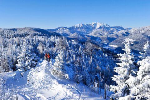 Naturpark Hohe Wand Winterwandern Schneebergblick