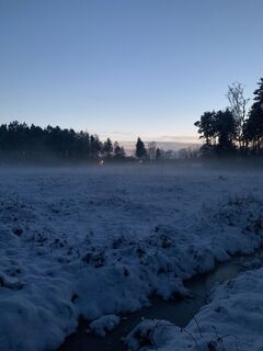 Ohligser Heide