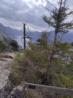 Foto von Edith K. entlang der Tour