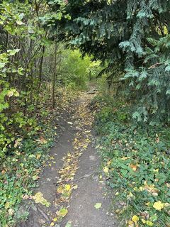 Foto de Bernd Mocker a lo largo del recorrido