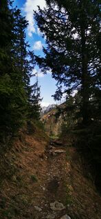 Foto de Klaus Lehner a lo largo del recorrido