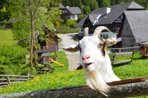 K1 - Ochnerbauer-Tour 