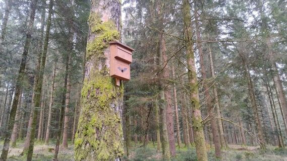 Fotografia z lkusmir na trase