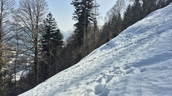 Foto de Szuki76 a lo largo del recorrido