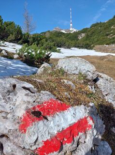 Fotografia z lisale1967 na trase