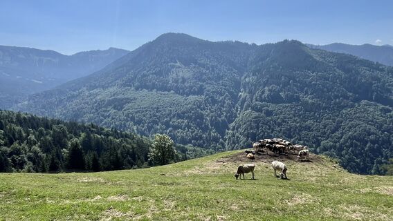 Foto von firobad entlang der Tour