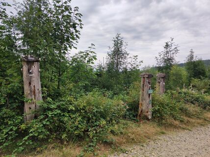 Fotografija s spletne strani Peter Bauridl na poti