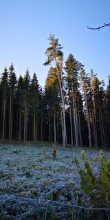 Foto von ReginaSt entlang der Tour