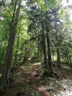 Fotografie z Turbinio na trase