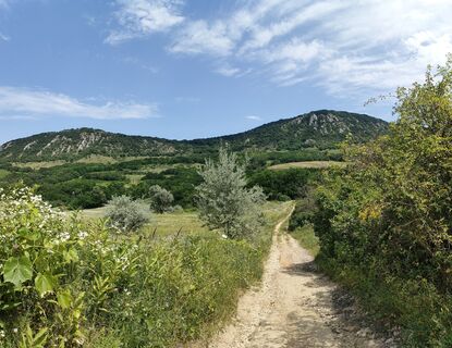 Kuva osoitteesta Annamária Bánki matkan varrella