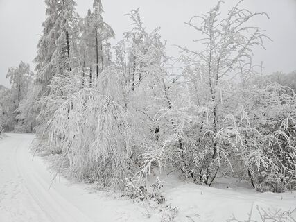 Foto von Heiko Sauermilch entlang der Tour